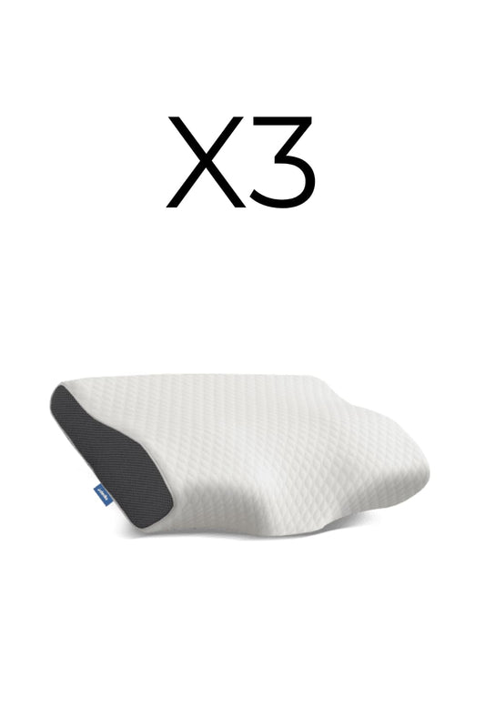 X3 OREILLERS ELAGLOW